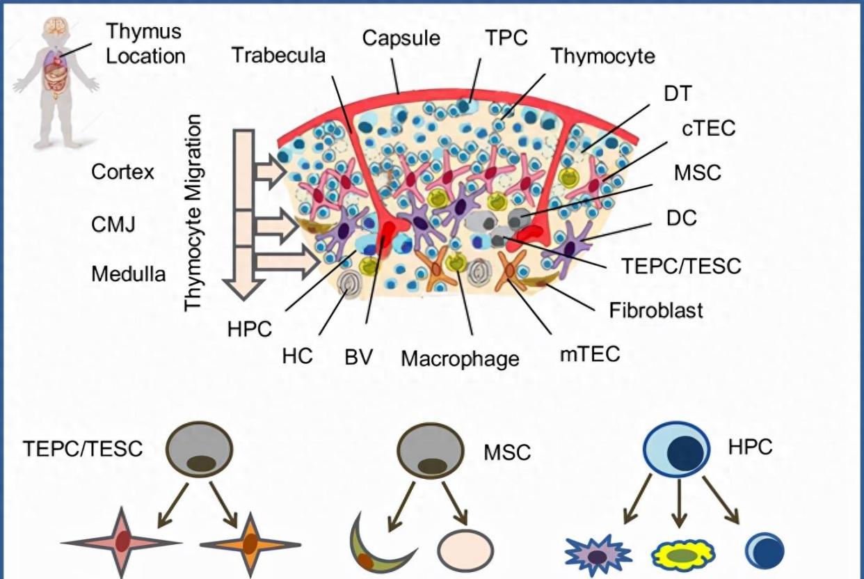 女生被抱抱的时候，身体会产生什么变化？生理的需要让她们上瘾