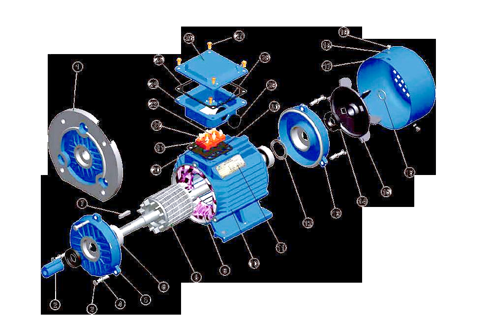 全面了解三相异步电动机的内部构造与部件功能