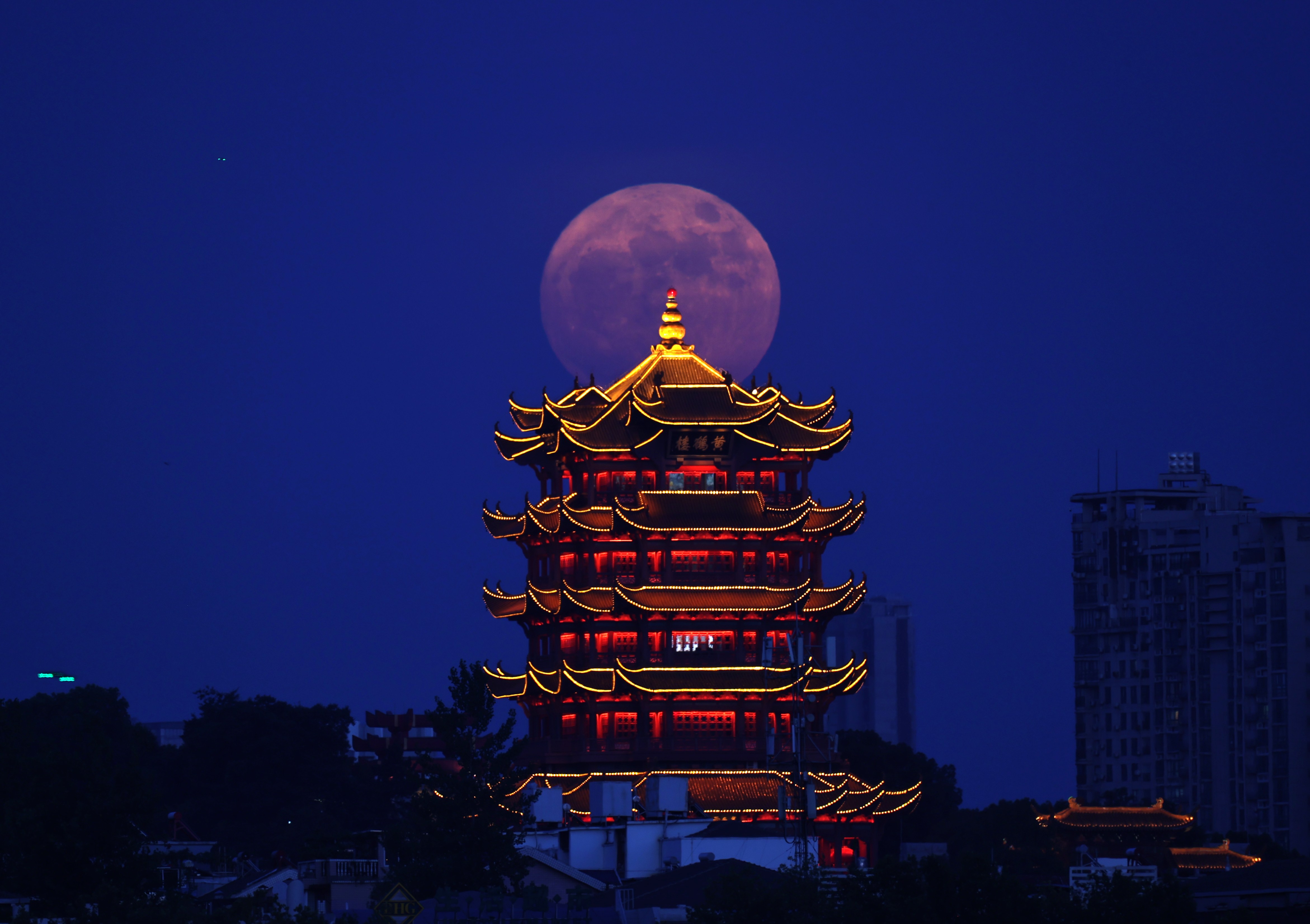 为拍黄鹤楼夜景乘客背向坐电梯,武汉地铁紧急调整