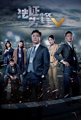 法证先锋5(粤语版)