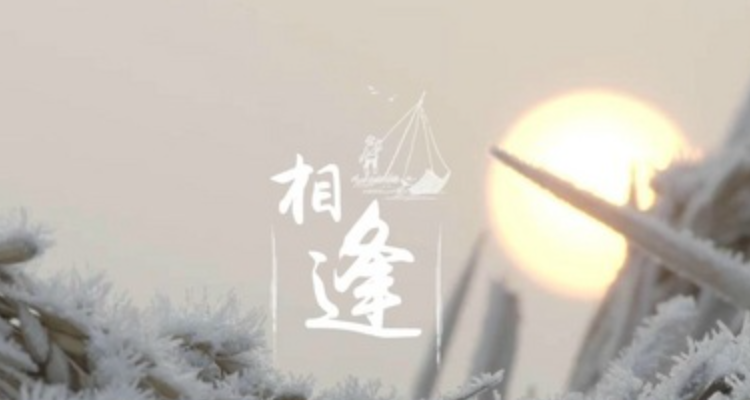 相见恨晚的唯美句子