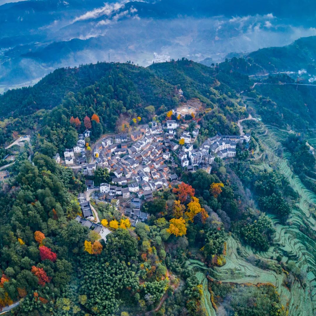 篁岭秋色盛典丨中国最后一抹秋色,婺源赏枫压轴大戏重磅登场