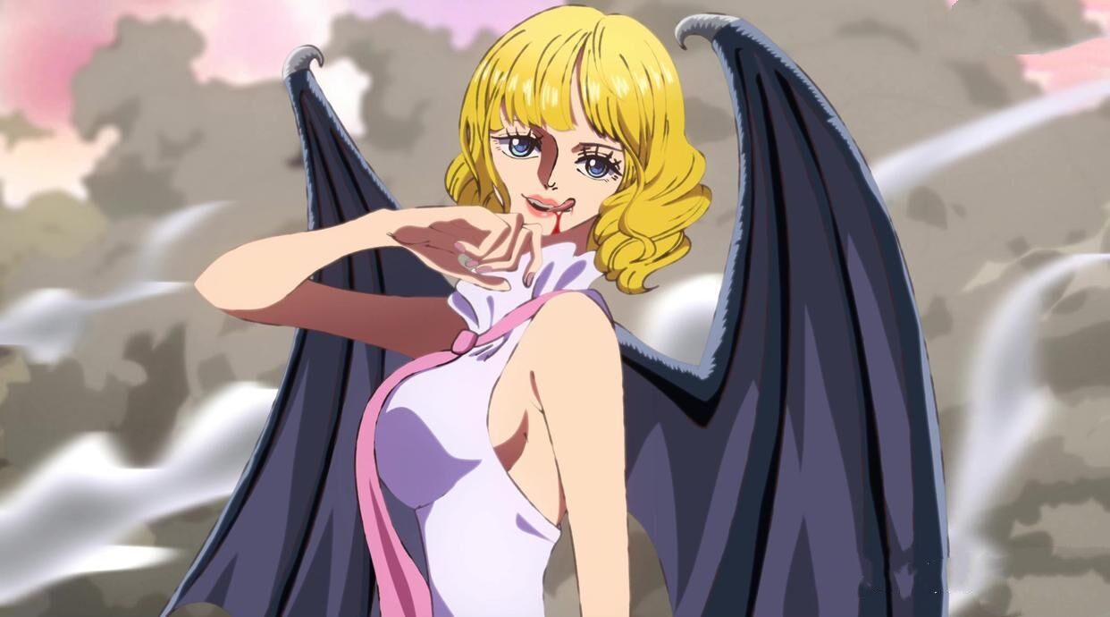 海贼王1072话:miss巴金不是白胡子的女人,白二世是失败品