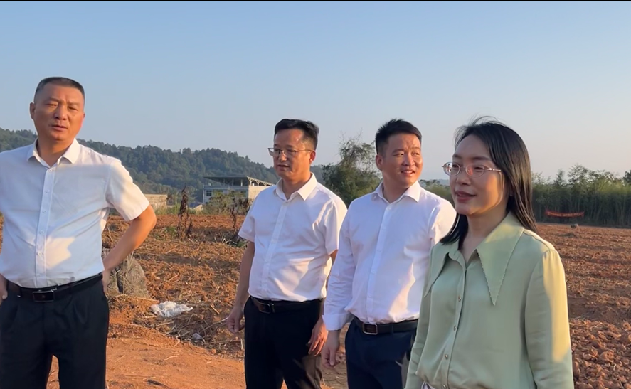 常宁市委常委,组织部长龙显蓉到官岭镇走访调研乡村振