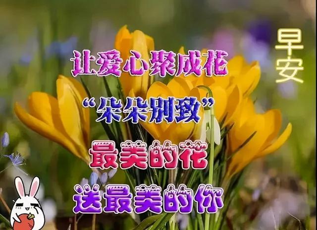 不打字早上好問候祝福語帶字圖片精選,早上好陽光暖心的祝福語