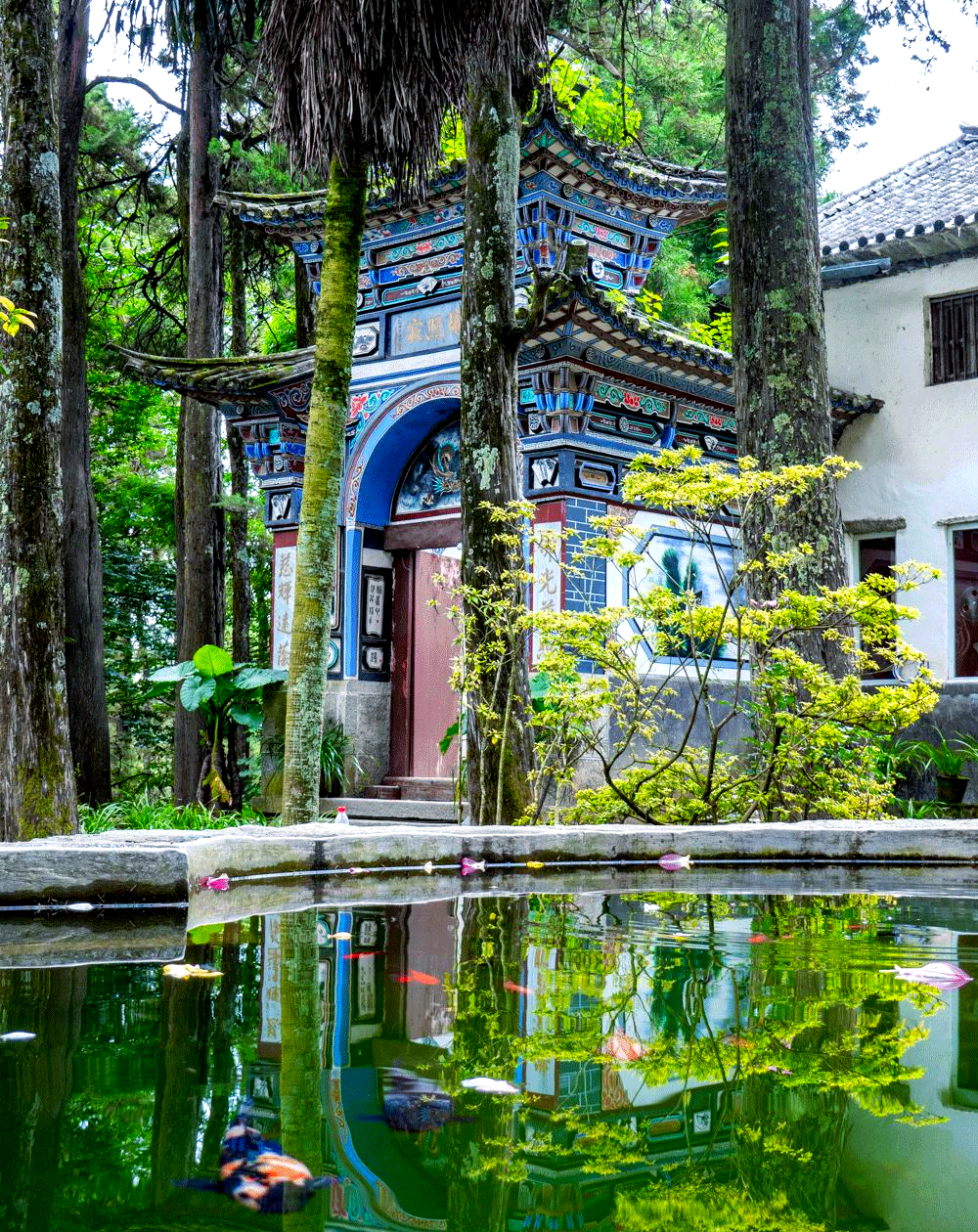 中国尼姑庵寂照庵:虽受众多打扰,却以修行之道化解纷扰