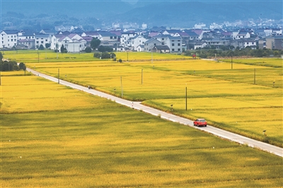 建德美丽城镇建设:高质量打造城乡富美新图景