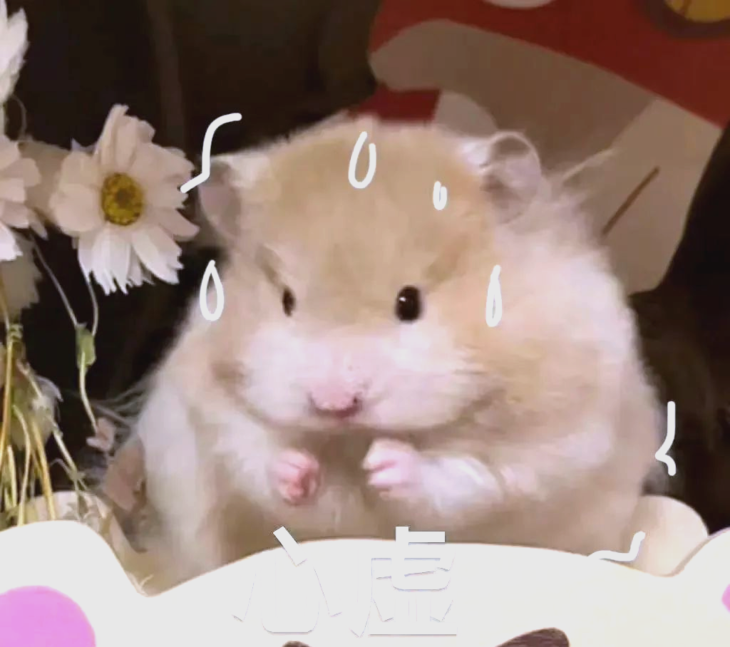 表情包精选:小狗乱鲨系列