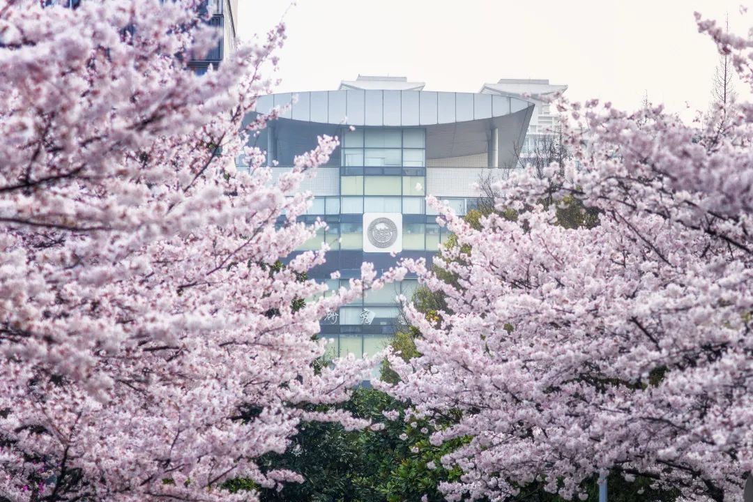 同濟大學誠邀優秀青年才俊加盟!