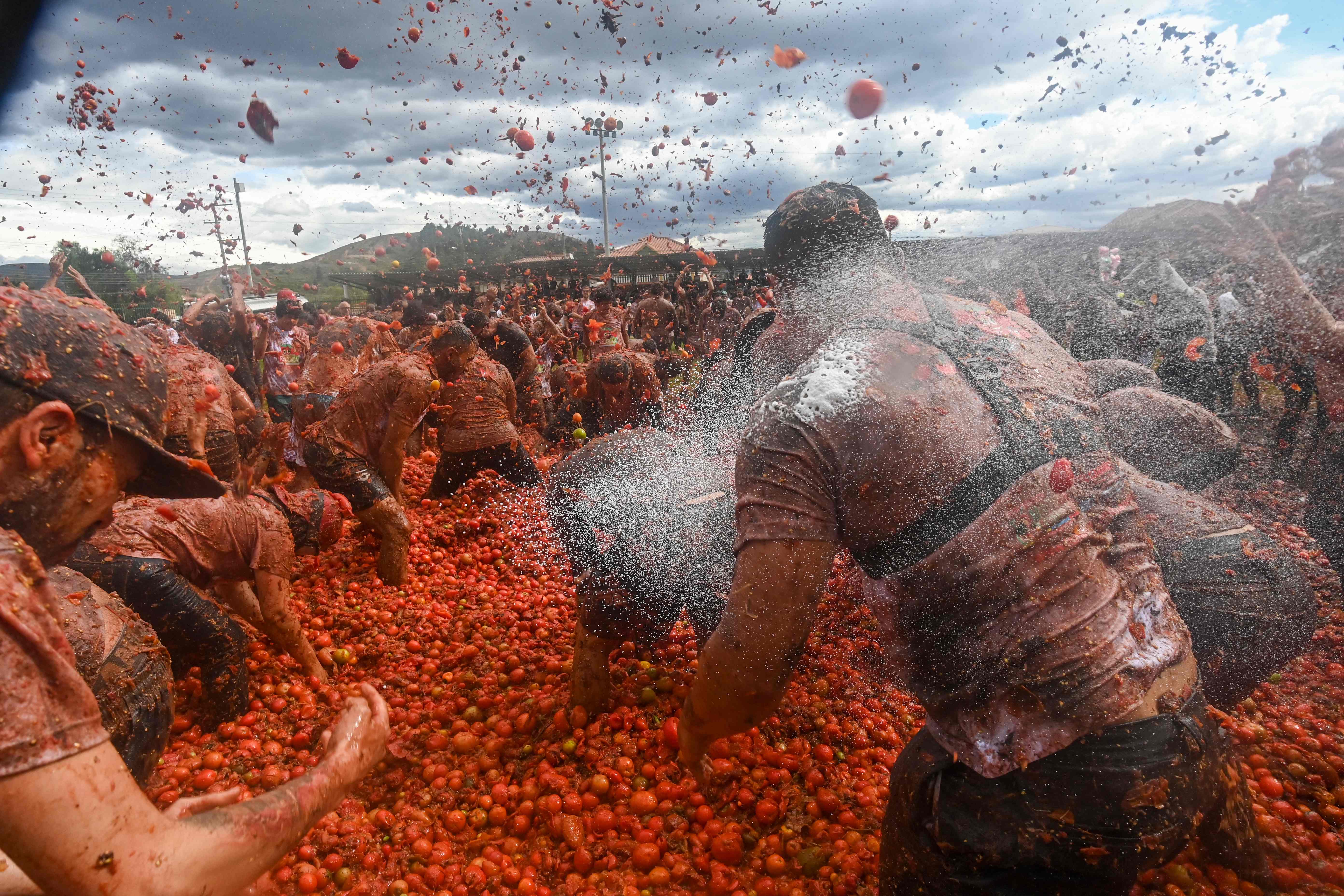 哥伦比亚苏塔马钱:番茄大战
