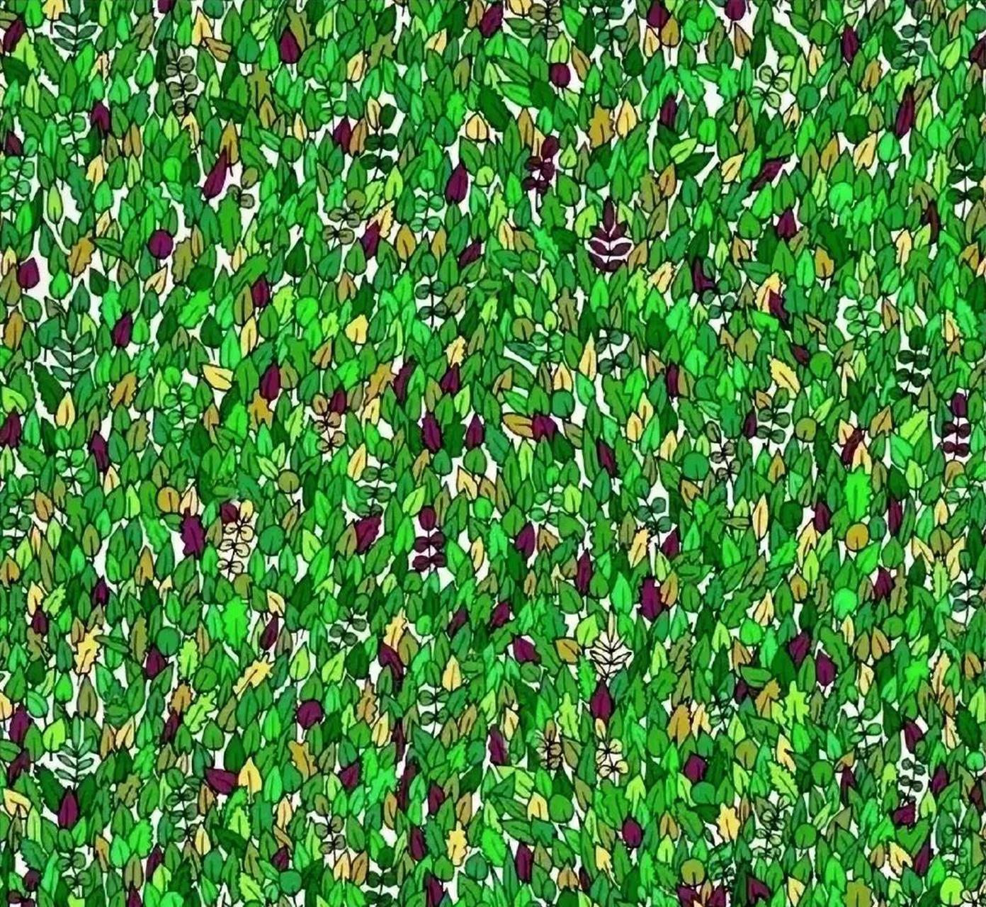 考眼力找不同 图中隐藏着5只青蛙 大多数人都找不出来 只有少数眼力极