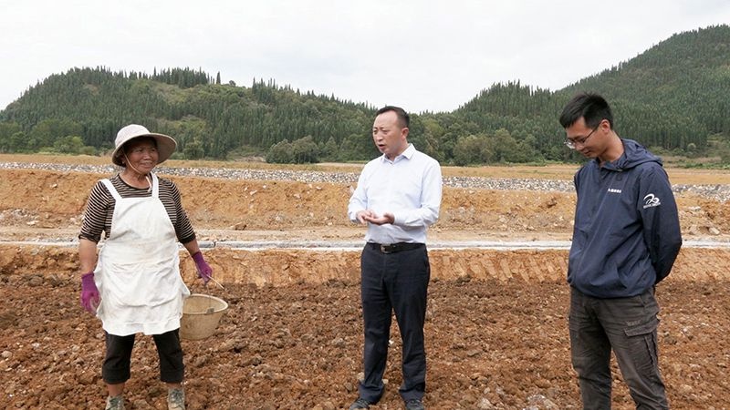 黄奇到屯脚镇督导秋冬种工作