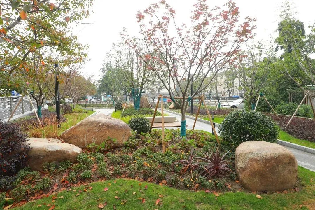 广中北宝兴路街区完成改造展新颜～变身生活"舒适圈"