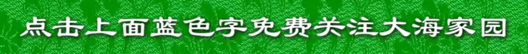 「音樂經典」二胡,古箏,琵琶,竹笛合奏《茉莉花》,醉了!