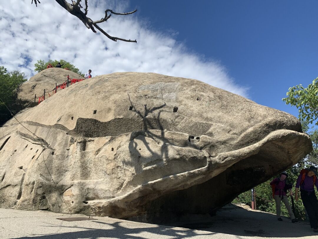 春游攻略看人间四月天华山如画云如烟