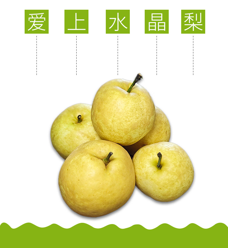 清远连州潭岭水晶梨
