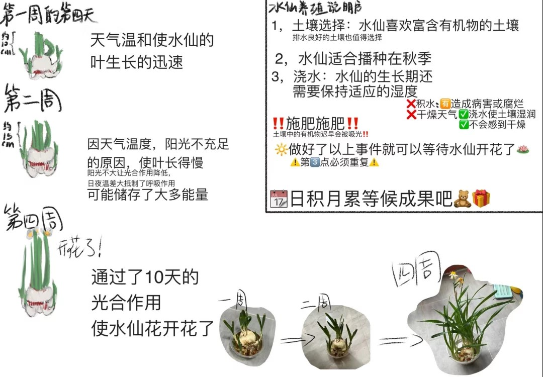 巧手生趣融学物知初中生物优秀寒假作业展