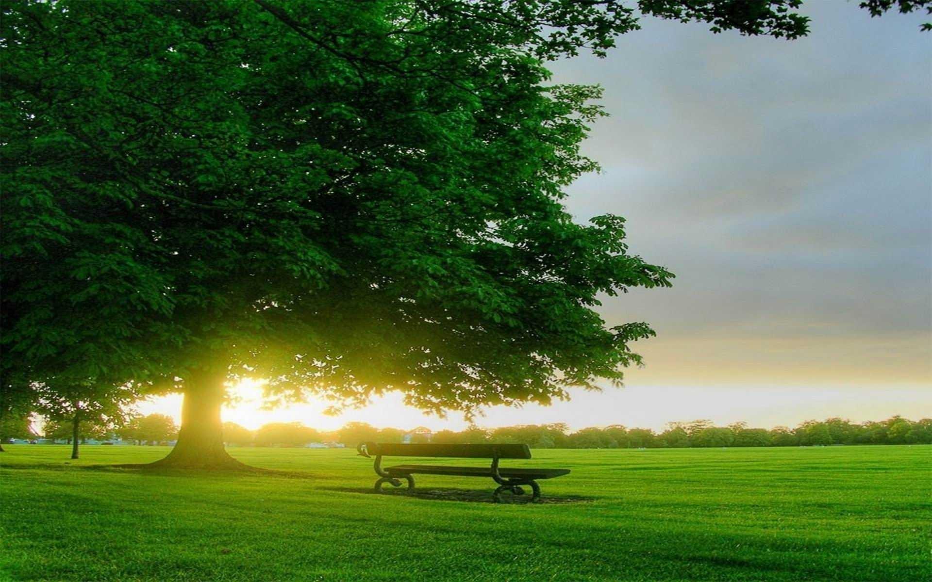 看完舍不得删的五本小说,这几本留些一点也不亏,书荒可以撸