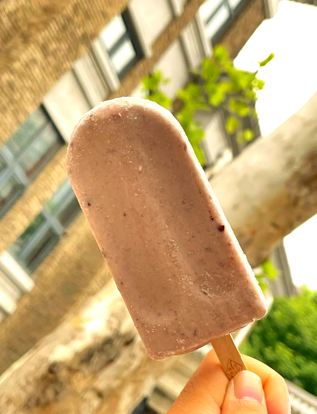 康乐小豆冰棍:天津孩子的71年舌尖记忆