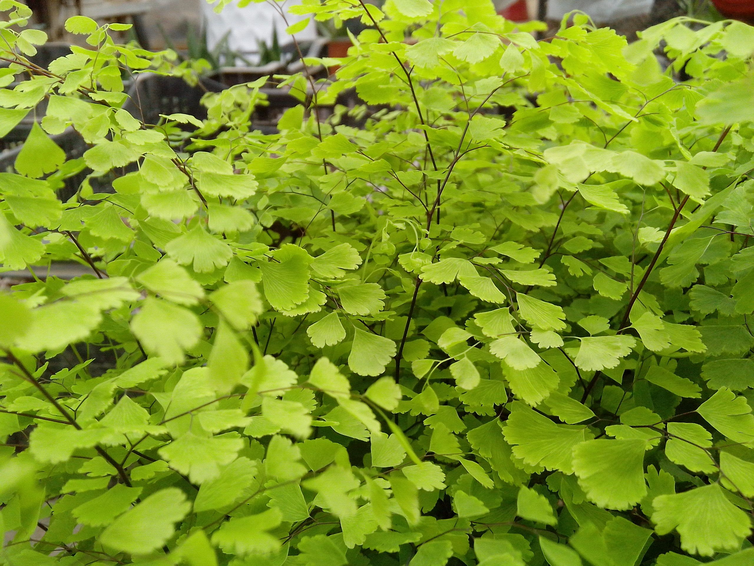 几经风雨,终归无