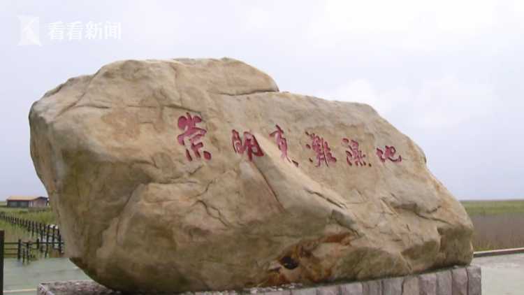 执牛耳者︱陆健健:发展与保护之间的平衡之路