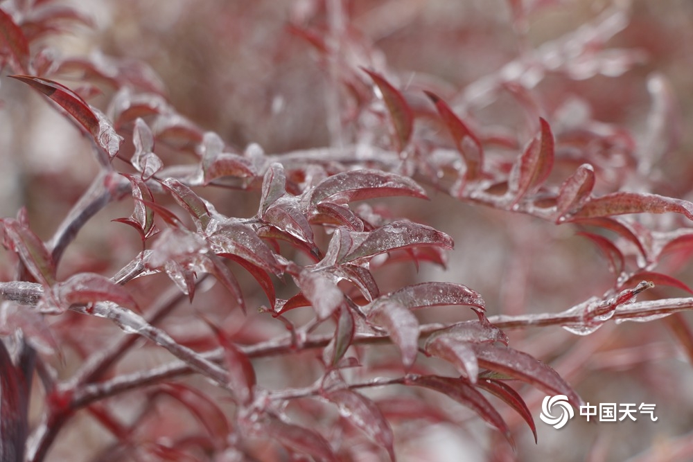 组图直击河南多地遭遇雨雪冰冻天气