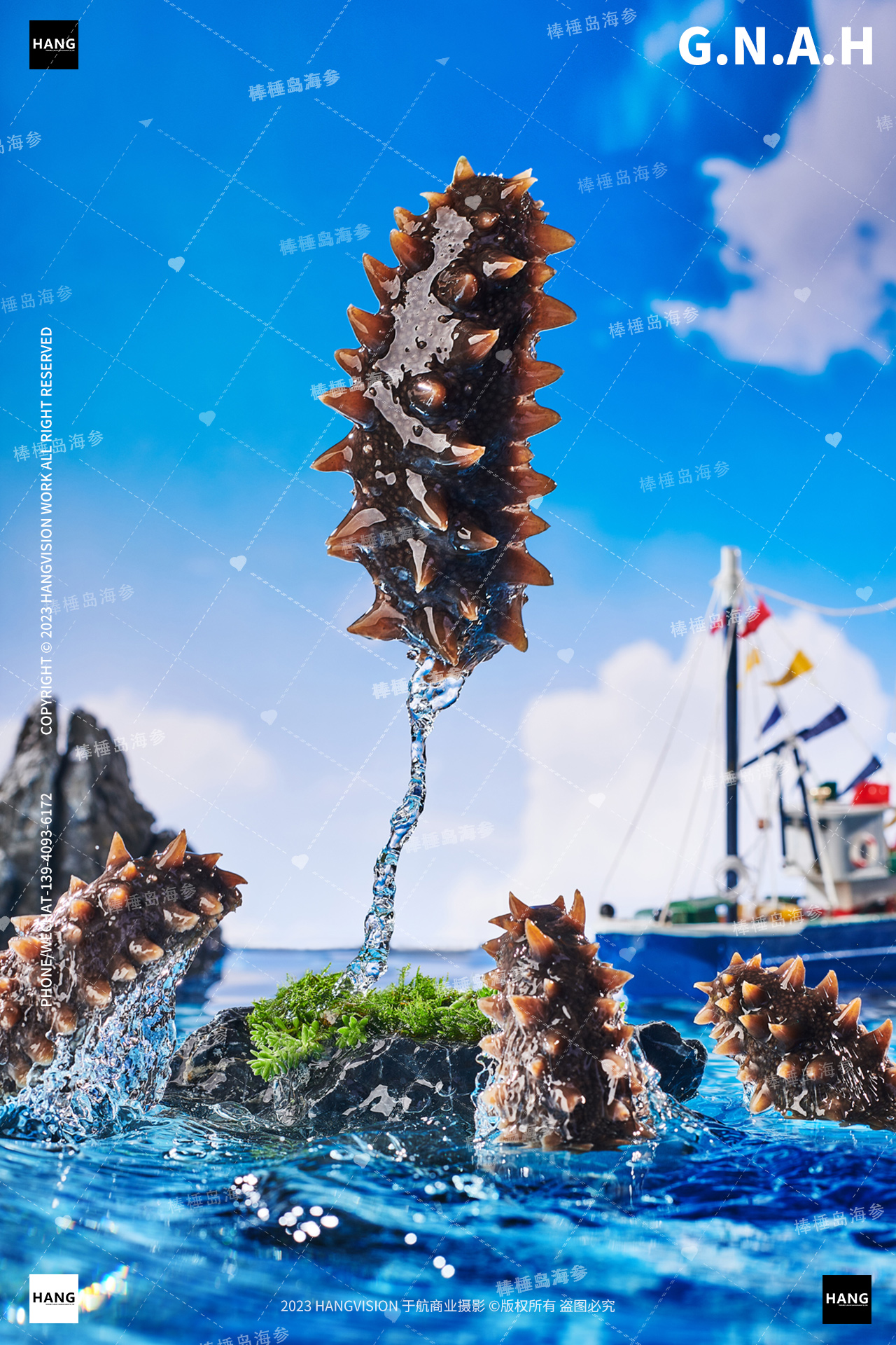 大连海参拍摄干海参即食海参棒棰岛野生海参海鲜拍摄