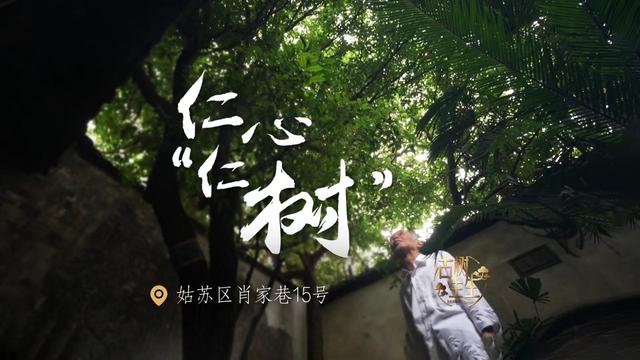 古树生生|仁心"仁树"