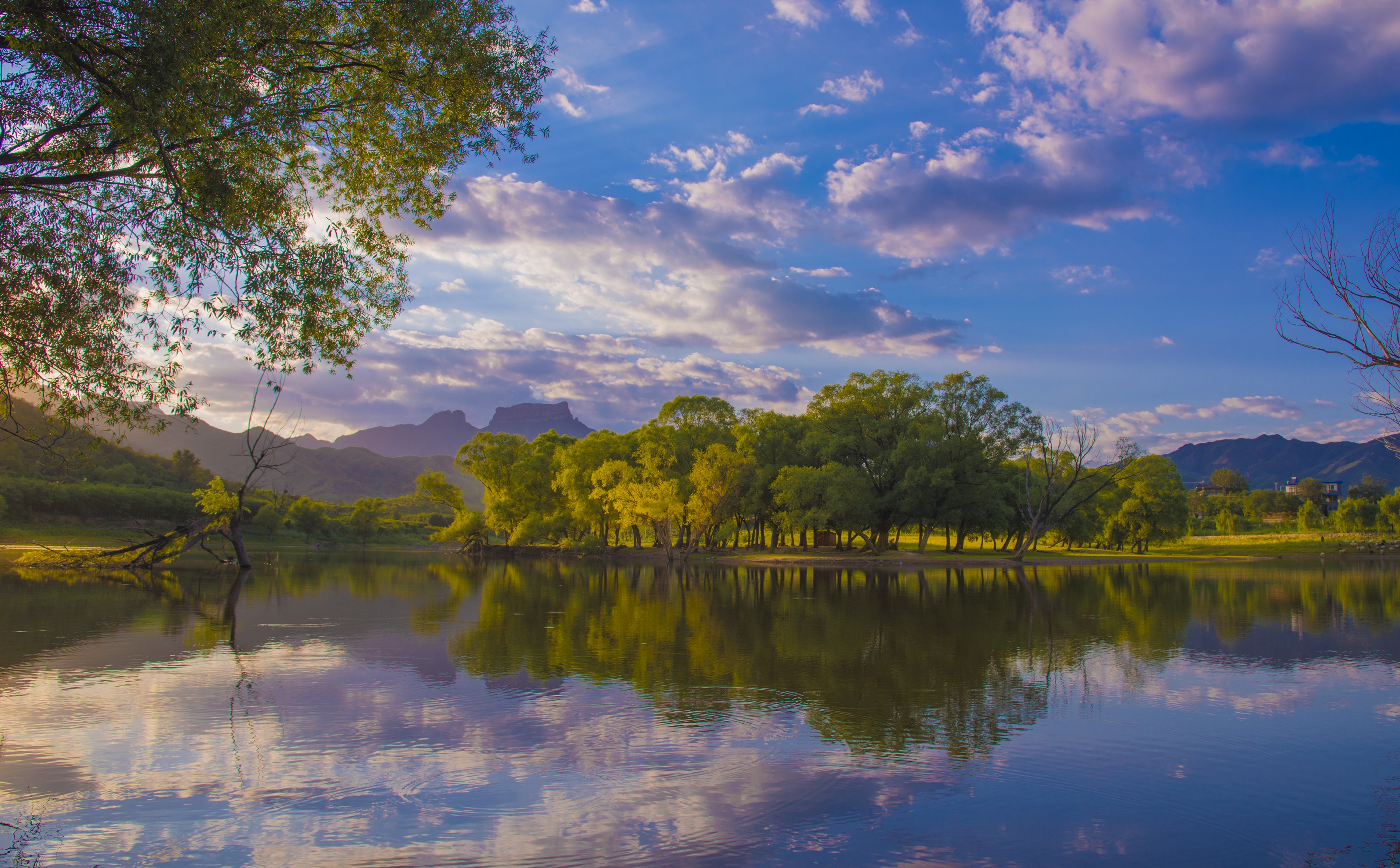 河北赞皇:绿水青山滋养"甜蜜产业"