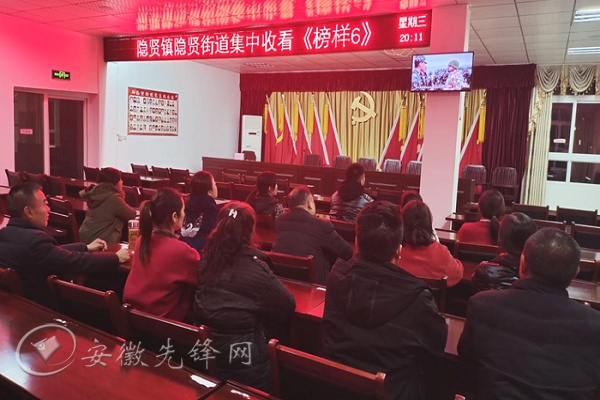 寿县隐贤镇:多举措提升党员电教远教工作水平