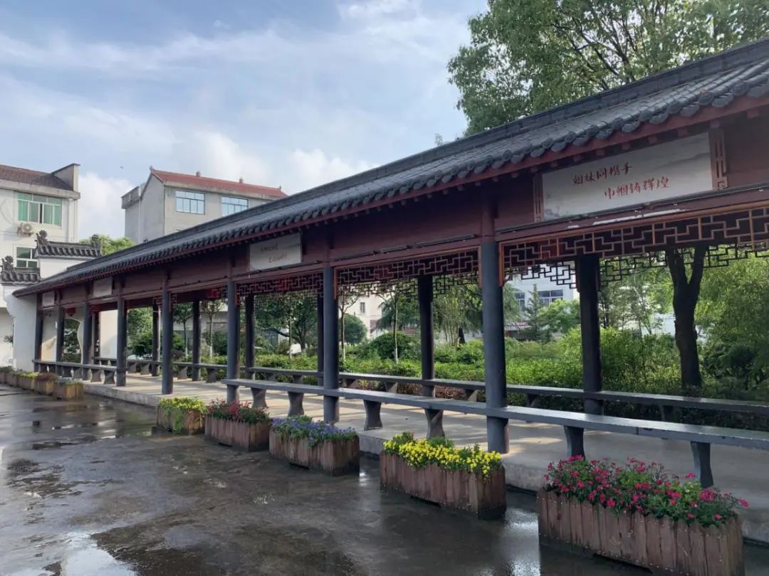 巾帼芳华 榜样力量 | "五新"妇联组织展播(九)——花街镇倪宅村