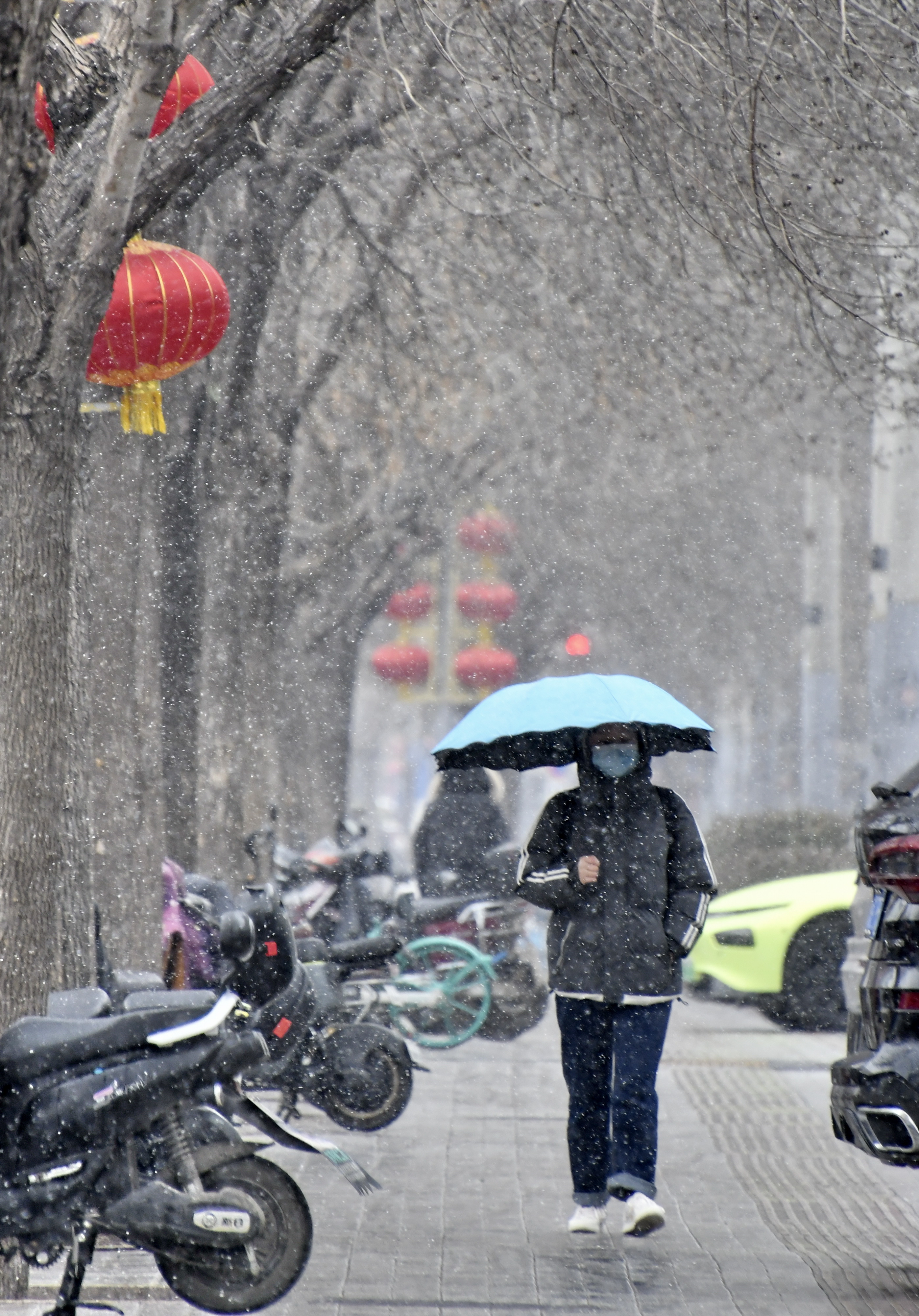 北方下雪图片真实图片