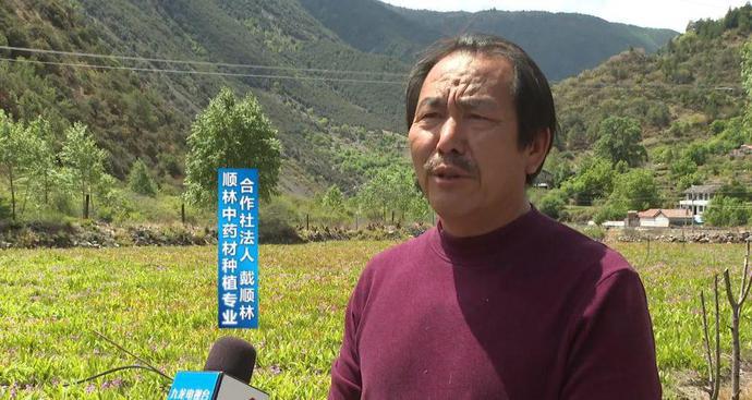 九龙:三岩龙乡发展特色产业致富有道