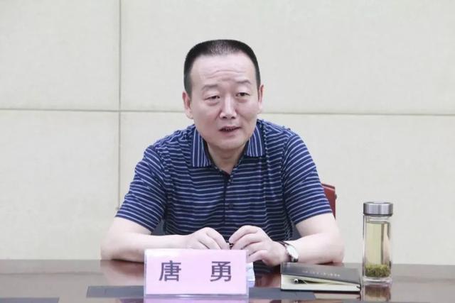 厅官唐勇落马记