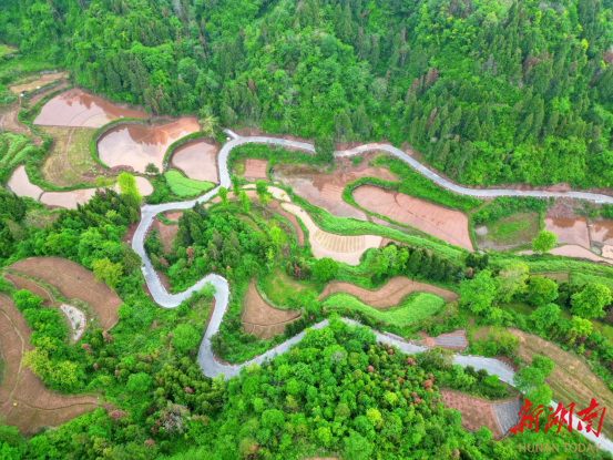 泸溪县梁家潭村:小小产业路 绘就乡村振兴新图景