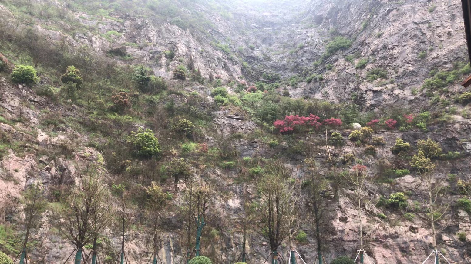 野木瓜注射液是一种中药注射剂
