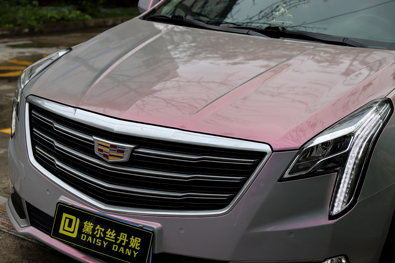 黛尔丝丹妮改色膜 凯迪拉克xts梦幻火山灰案例
