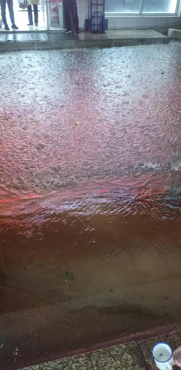 吉林市这大雨不一般,大树都刮到了,你挨浇了吗?