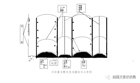 垄距示意图图片