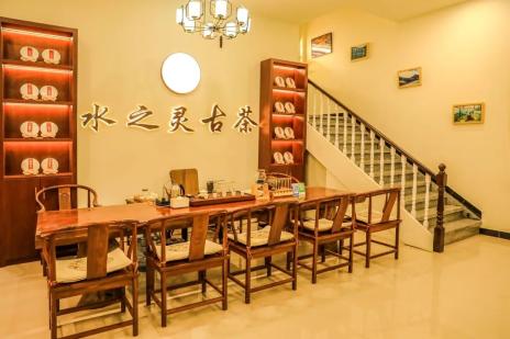 云雾深山藏好茶:"水之灵"茶香溢四方