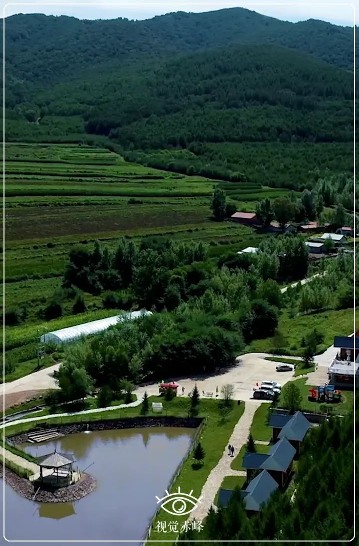 魅力乡镇美林镇