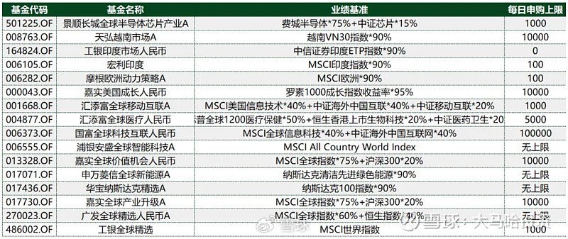 怎么买国外基金