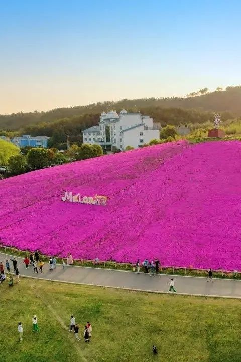 以蓝天的名义召唤你共赴春天的盛会