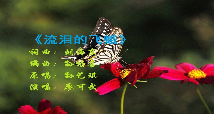 一只流泪的飞蛾是什么歌