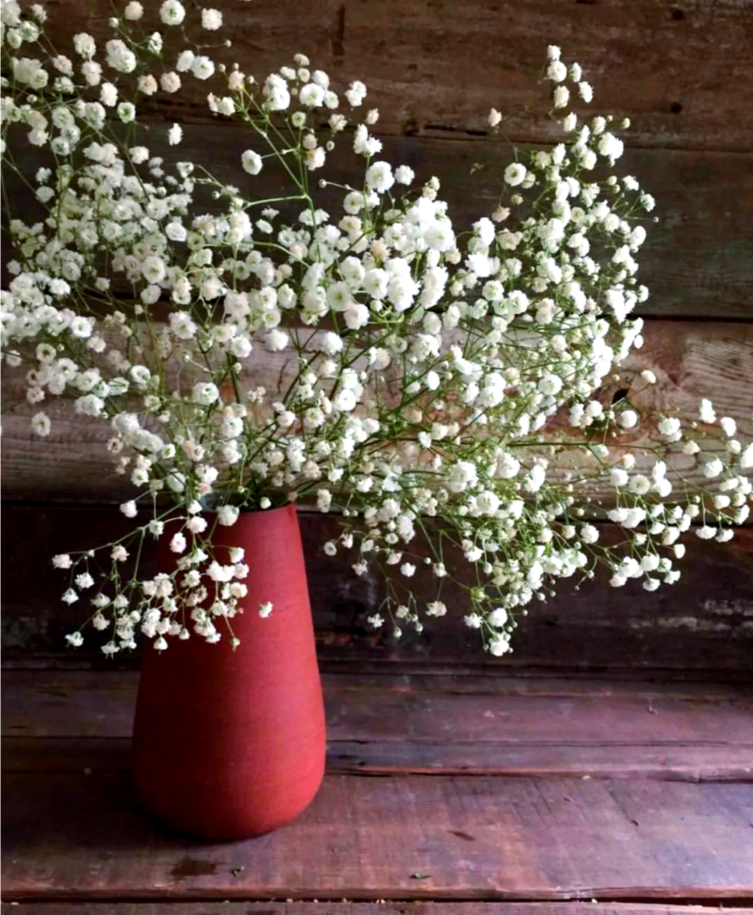 满天星:象征清纯与浪漫的婚礼必备花材