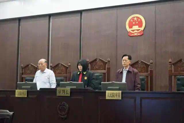 潮州这个恶势力团伙犯罪案判了,最高获刑8年