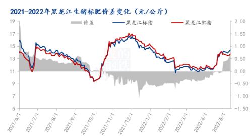 Mysteel解读：猪价正在合理回归，但中期走势仍谨慎看待