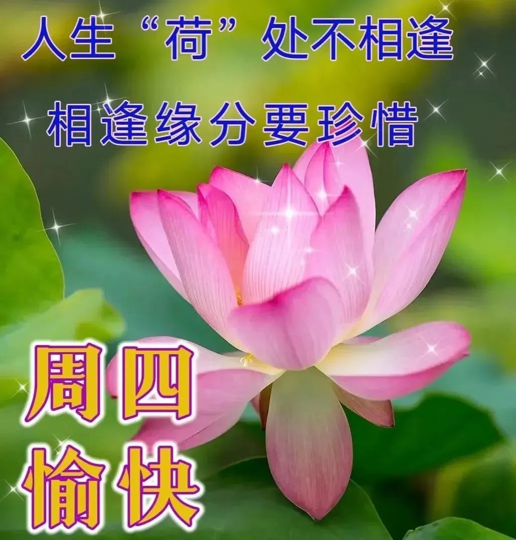 7月6日周四早上好唯美祝福语图片带字问候语