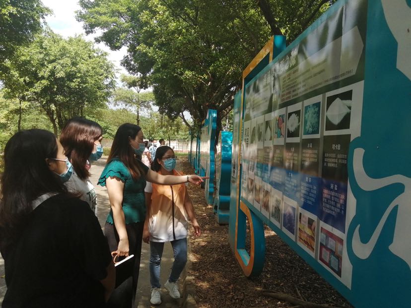 构建平安绿色校园!三水白坭禁毒宣传走进镇第二小学