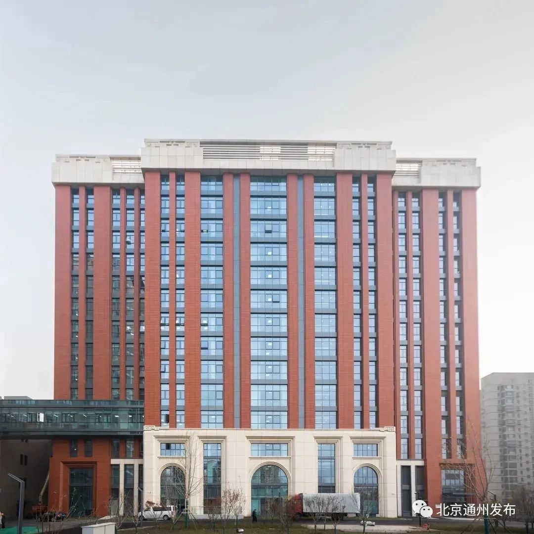 副中心十年拍案传奇之第五章枝叶关情